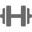 dim gray dumbbell icon