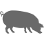 dim gray pig 4 icon