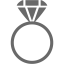 dim gray ring 2 icon