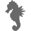 dim gray sea horse icon