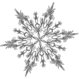 snowflake 41 icon