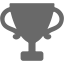 dim gray trophy icon