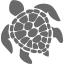 dim gray turtle icon