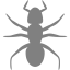 gray ant 3 icon