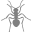 gray ant icon