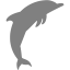 gray dolphin 2 icon