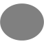 gray ellipse icon