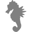 gray sea horse icon