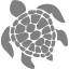 gray turtle icon