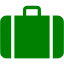 green baggage icon