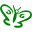 green butterfly icon