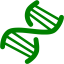 green dna helix icon