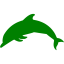 green dolphin icon