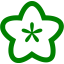 green flower icon