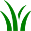 green grass icon