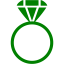 green ring 2 icon