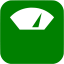 green scale icon