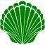 green seashell 2 icon