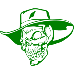 skull 2 icon