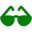 green sun glasses icon