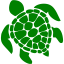 green turtle icon