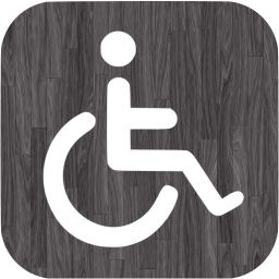 accessibility icon