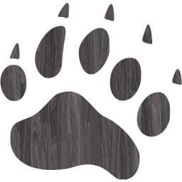 footprints bear icon