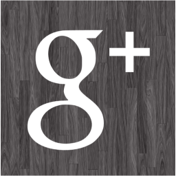 google plus 2 icon