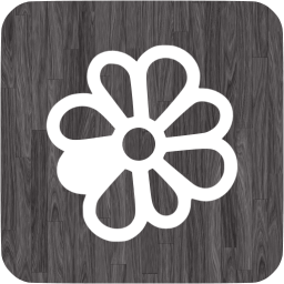 icq 3 icon