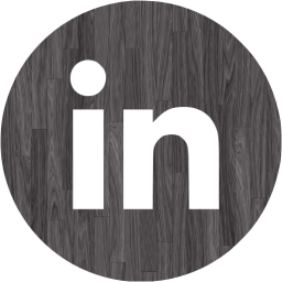 linkedin 4 icon