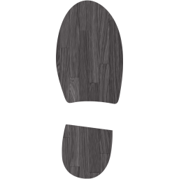 right shoe footprint icon