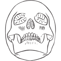 skull 29 icon