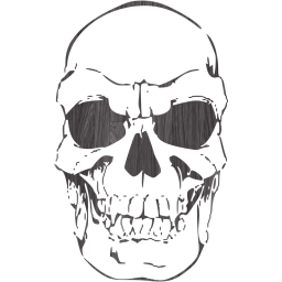 skull 41 icon