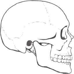 skull 62 icon