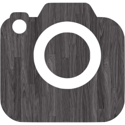 slr camera 2 icon