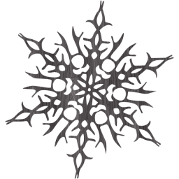 snowflake 14 icon