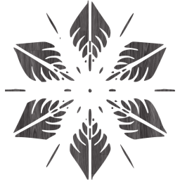 snowflake 5 icon