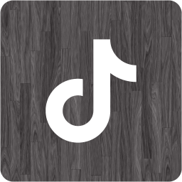 tiktok 2 icon