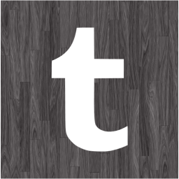 tumblr 2 icon