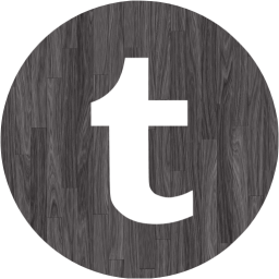 tumblr 4 icon