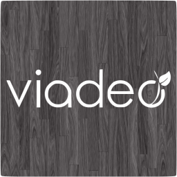 viadeo 4 icon