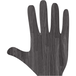 whole hand icon