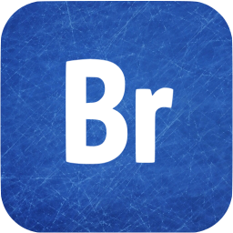 adobe br icon