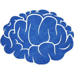 brain 2 icon