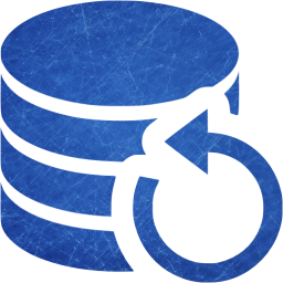 data backup icon