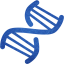 dna helix