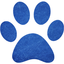 paw icon