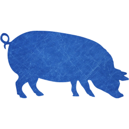 pig 4 icon