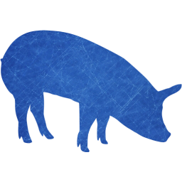 pig 5 icon