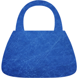 purse icon